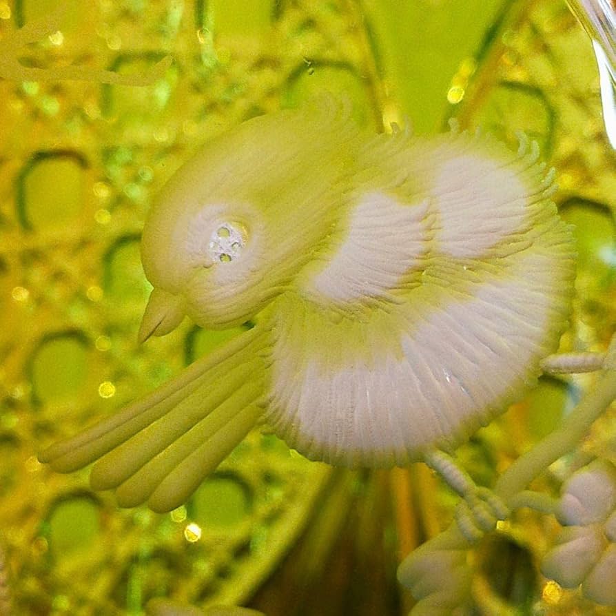 マイセン　花瓶　梅とメジロ　色被せ花瓶　ライトグリーン　#157 マイセン花瓶梅とメジロ色被せ花瓶ライトグリーン#157